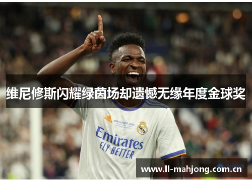 维尼修斯闪耀绿茵场却遗憾无缘年度金球奖